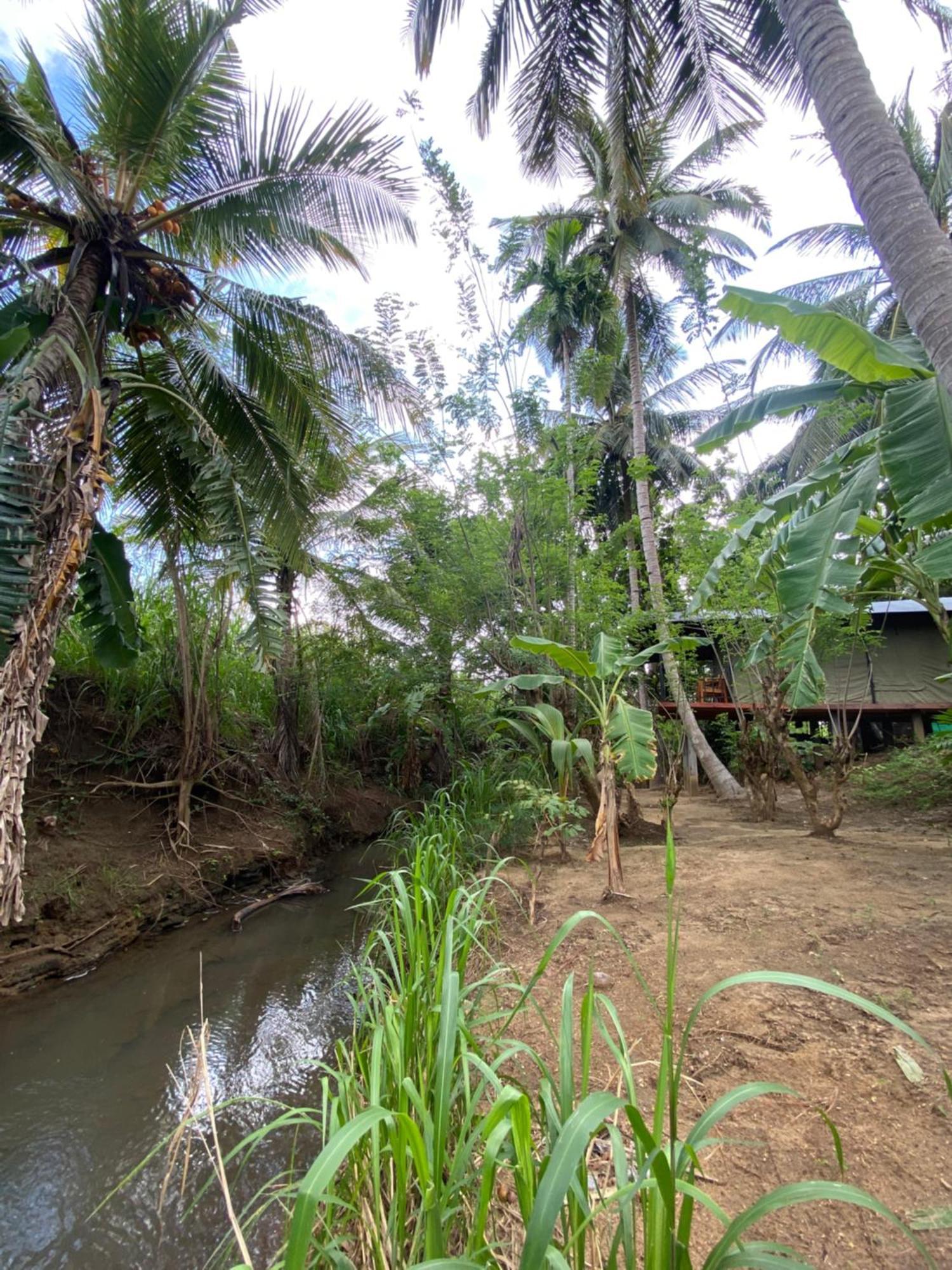 Coconut Camp Udawalawe Dematapelessa Exteriör bild